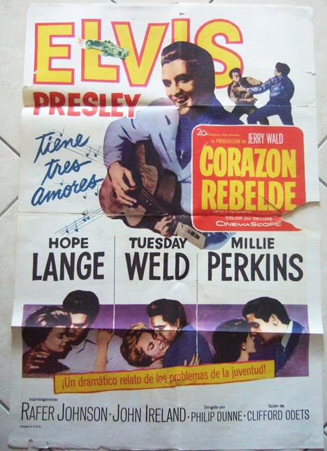 WILD SPAIN POSTER